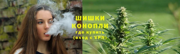 круглые Белокуриха